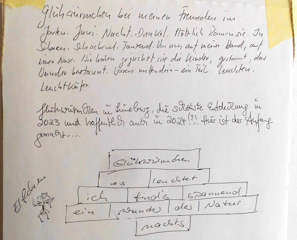 Glühwürmchen Assoziationen von Besucherin auf Blatt an Wand